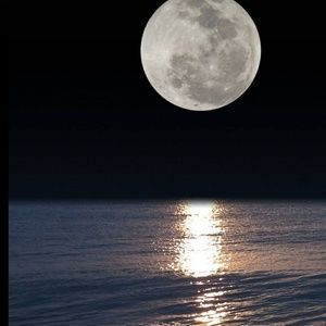 Meet your Posher, Jesse